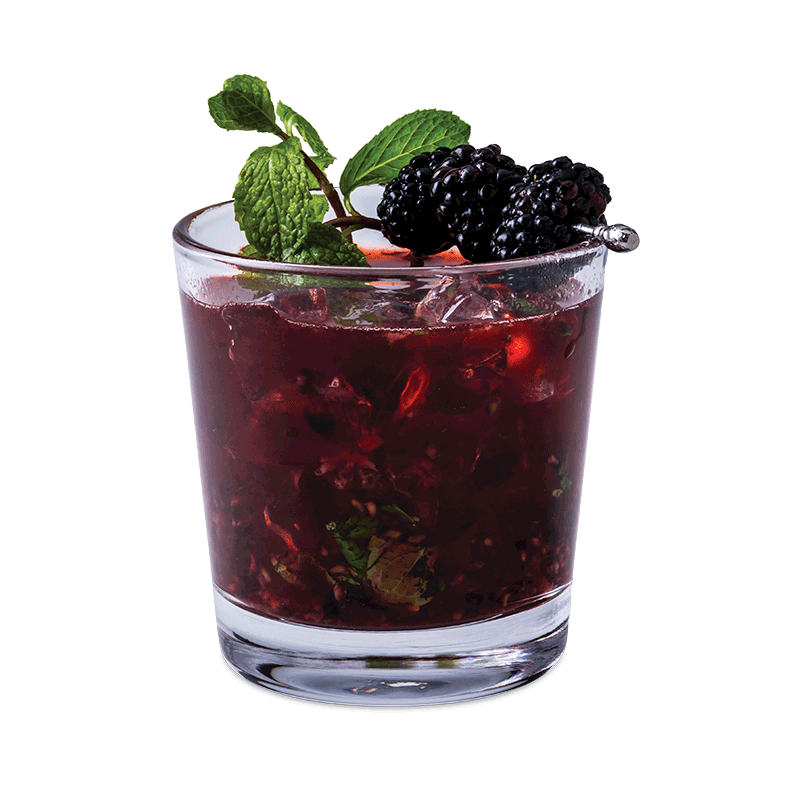 Blackberry Mojito