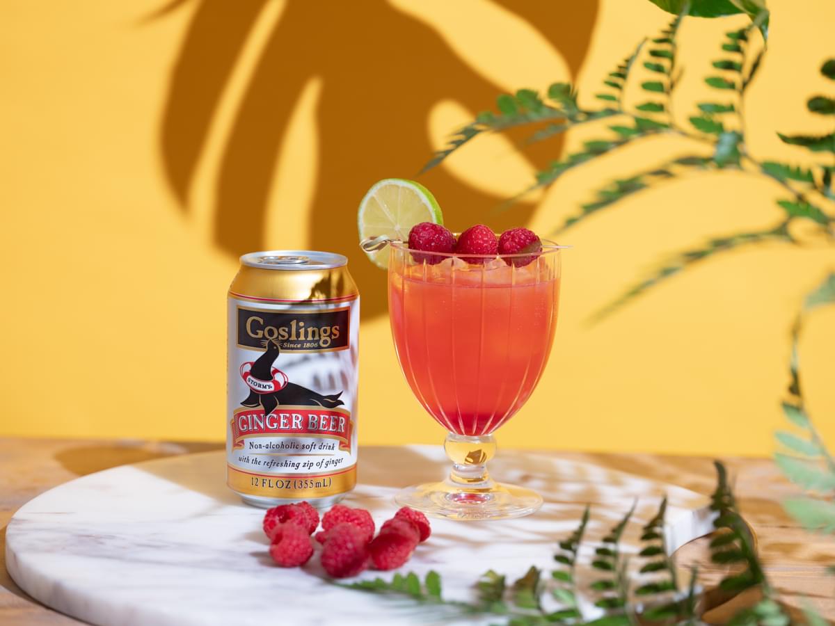 Cranberry Mule Mocktail